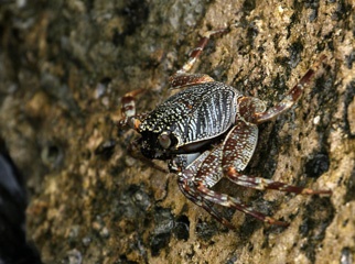 IMG_2567a